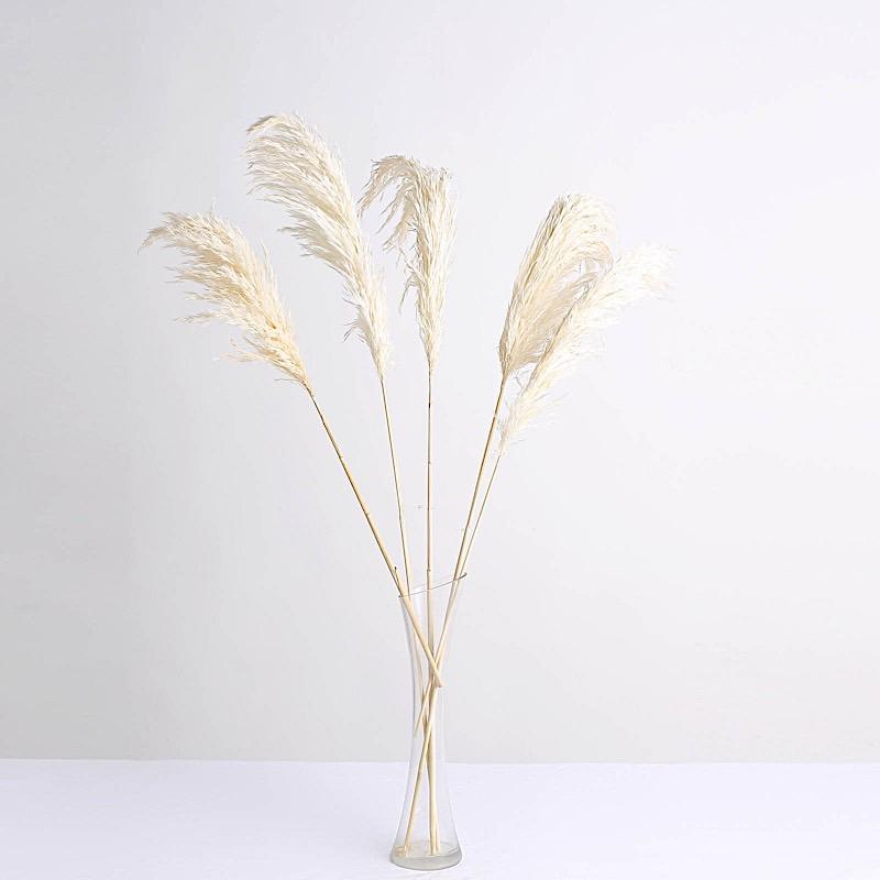6 pcs 32" Natural Pampas Grass Sprays Dried Plant Stems ARTI_PAMP_001_S_WHT
