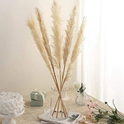 6 pcs 49" Natural Pampas Grass Sprays Dried Plant Stems