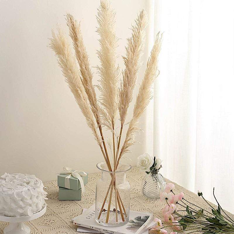 6 pcs 49" Natural Pampas Grass Sprays Dried Plant Stems