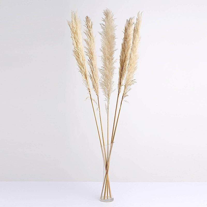 6 pcs 49" Natural Pampas Grass Sprays Dried Plant Stems ARTI_PAMP_001_L_WHEA