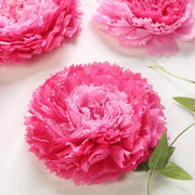 6 pcs 7" 9" 11" wide Large Carnations Tissue Paper Flowers