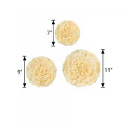 6 pcs 7" 9" 11" wide Large Carnations Tissue Paper Flowers