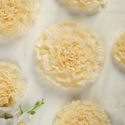 6 pcs 7" 9" 11" wide Large Carnations Tissue Paper Flowers