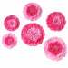 6 pcs 7" 9" 11" wide Large Carnations Tissue Paper Flowers POM_FLO04_7911_PINK
