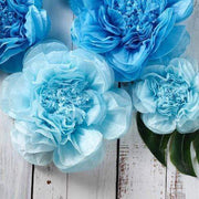 6 pcs 7" 9" 11" wide Peonies Tissue Paper Flowers