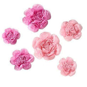 6 pcs 7" 9" 11" wide Peonies Tissue Paper Flowers POM_FLO03_7911_PINK