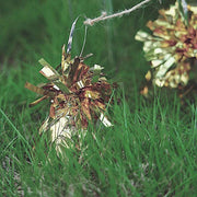 6 pcs Metallic Foil Balloon Weights DIY Party Decorations - Gold BLOON_WGT_01_GOLD