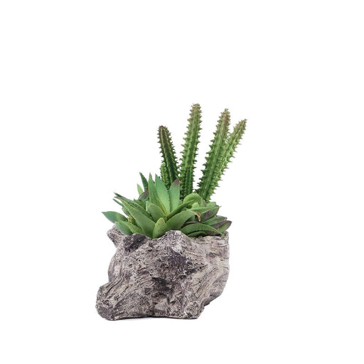 6" tall Driftwood Planter with Faux Cute Assorted Succulent Plants - Green and Brown ARTI_SUC_LOG002_ASST