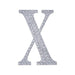 6" tall Letter Self-Adhesive Rhinestones Gem Sticker - Silver DIA_NUM_GLIT6_SILV_X
