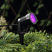 6 Watt LED Backdrop Spotlights Waterproof Landscape Lights LED_SPT03_PURP1