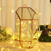 60" x 36" LED Battery Operated Fairy Lights Backdrops Garland - Warm White LEDSTR03_CLR_1