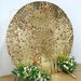 7.5 ft Big Payette Sequin Round Backdrop Stand Cover Wedding Decorations