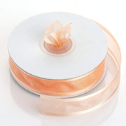 7/8" x 25 yards Satin Edge Organza Ribbon RIB_SE_78_PCH