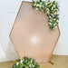 8 ft Sparkle Sequin Hexagon Backdrop Stand Cover Wedding Decorations