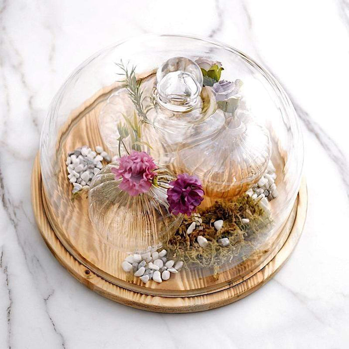 8 Glass Display Dome Wooden Base Cloche Cake Stand - Clear Natural