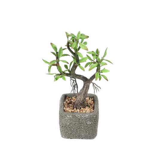 9" tall Concrete Pot with Faux Mini Willow Tree - Green and Brown ARTI_SUC_TR002_ASST