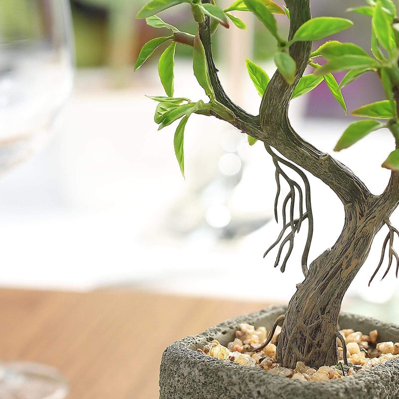 9" tall Concrete Pot with Faux Mini Willow Tree - Green and Brown ARTI_SUC_TR002_ASST