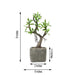 9" tall Concrete Pot with Faux Mini Willow Tree - Green and Brown ARTI_SUC_TR002_ASST