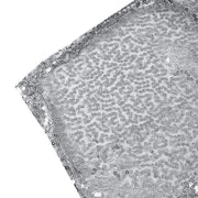 90x132" Sequined Rectangular Tablecloth