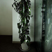 96" long Meteor Rain Sequence LED Lights - Clear LED_GRLD04_CLR