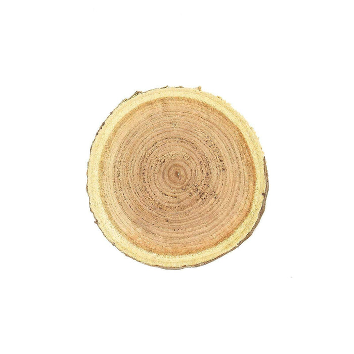 Cedar Round Wood Slices Craft Party Supplies - Natural WOD_SLCRND002