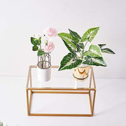 Plexiglass Sheets Rectangular Acrylic Sign Boards