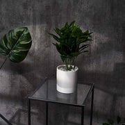 Plexiglass Sheets Rectangular Acrylic Sign Boards