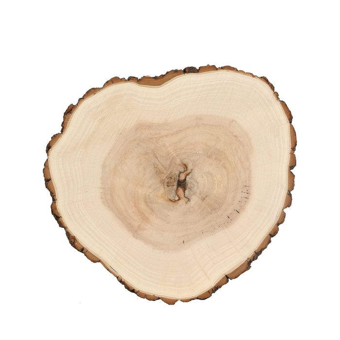 Round Poplar Wood Slices Wedding Centerpieces - Natural WOD_SLCRND001_18x1