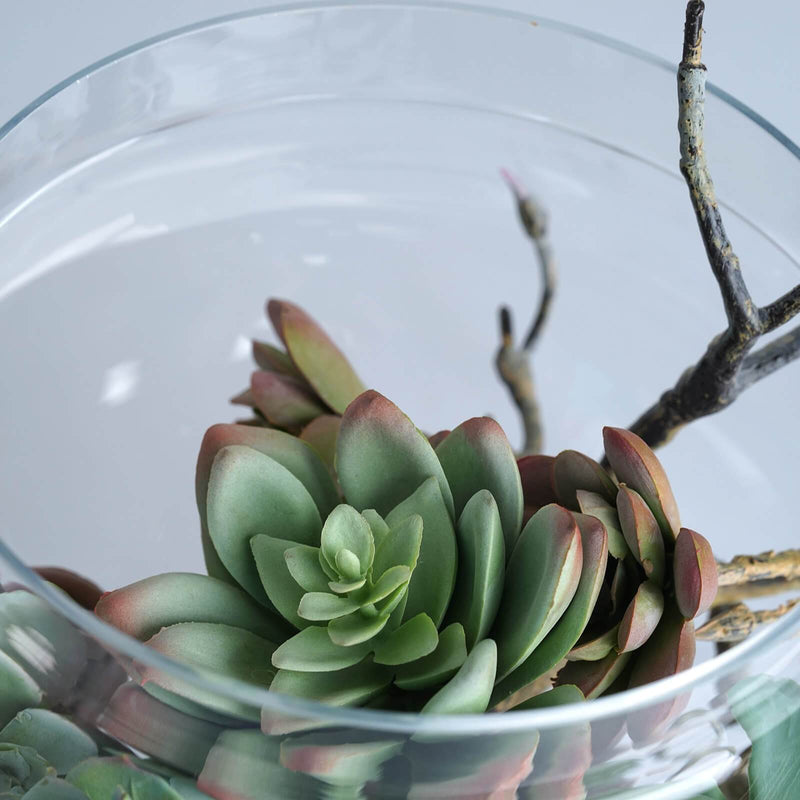 Set of 3 10" 12" 14" tall Glass Apothecary Jars Containers with Lids - Clear GLAS_JAR12_CLR