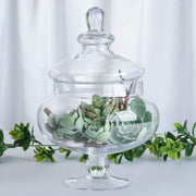 Set of 3 10" 12" 14" tall Glass Apothecary Jars Containers with Lids - Clear GLAS_JAR12_CLR