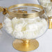 Set of 3 11" 16" 18" tall Glass Apothecary Jars Containers with Lids - Clear with Gold Trim GLAS_JAR10_GOLD