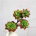 Set of 3 12" tall Faux Succulent Picks Sprays Stems - Assorted Colors ARTI_SUC_LS002_ALST