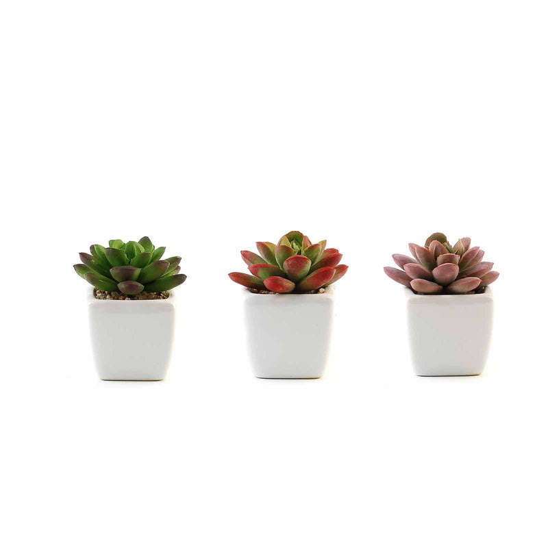 Set of 3 3" tall Mini Faux Succulent Plants with Off White Ceramic Pots - Assorted Colors ARTI_SUC_PT012_ASST