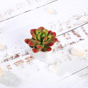 Set of 3 3" tall Mini Faux Succulent Plants with Off White Ceramic Pots - Assorted Colors ARTI_SUC_PT012_ASST