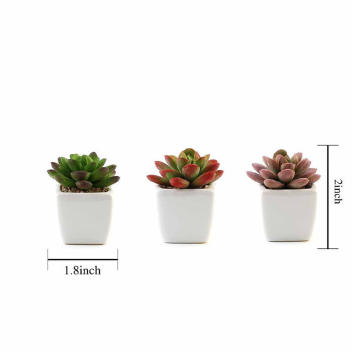 Set of 3 3" tall Mini Faux Succulent Plants with Off White Ceramic Pots - Assorted Colors ARTI_SUC_PT012_ASST