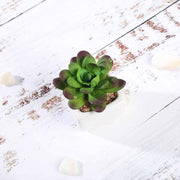 Set of 3 3" tall Mini Faux Succulent Plants with Off White Ceramic Pots - Assorted Colors ARTI_SUC_PT012_ASST