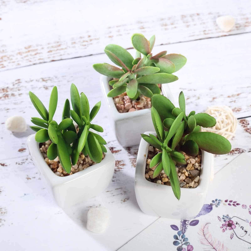 Set of 3 3" tall Mini Green Faux Small Succulent Plants with Off White Ceramic Pots ARTI_SUC_PT020_ASST