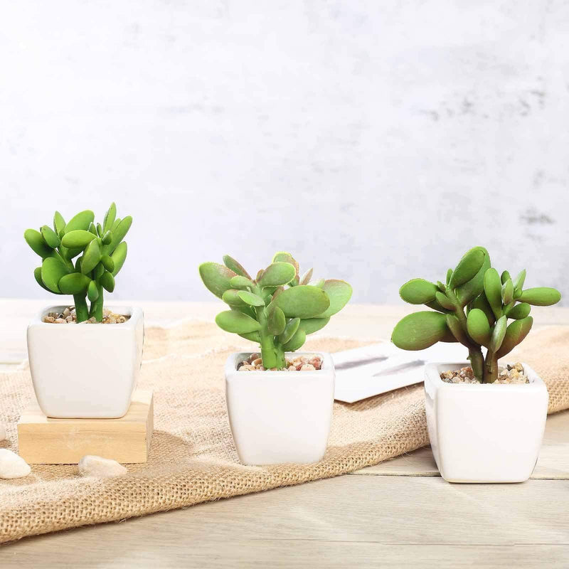 Set of 3 3" tall Mini Green Faux Small Succulent Plants with Off White Ceramic Pots ARTI_SUC_PT020_ASST