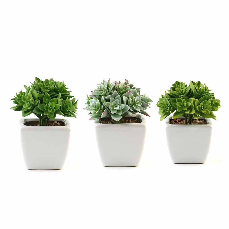 Set of 3 4" tall Faux Crassula Succulent Plants with Off White Ceramic Pots - Green ARTI_SUC_PT013_ASST