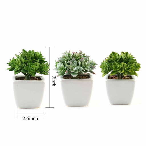 fake small succulent plants 3 pcs 4" Green Artificial Faux Crassula Succulent Plants White Pots