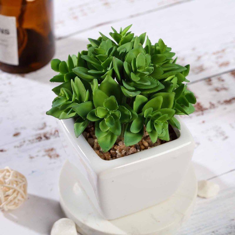 Set of 3 4" tall Faux Crassula Succulent Plants with Off White Ceramic Pots - Green ARTI_SUC_PT013_ASST
