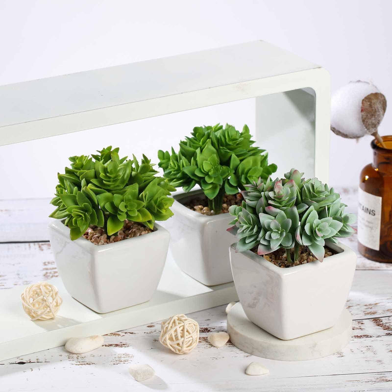 Set of 3 4" tall Faux Crassula Succulent Plants with Off White Ceramic Pots - Green ARTI_SUC_PT013_ASST
