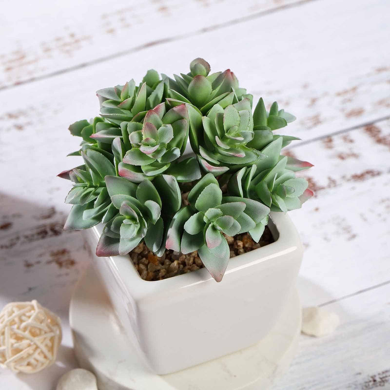 Set of 3 4" tall Faux Crassula Succulent Plants with Off White Ceramic Pots - Green ARTI_SUC_PT013_ASST