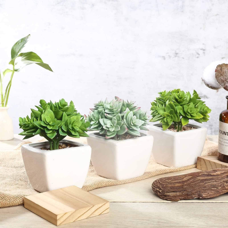 Set of 3 4" tall Faux Crassula Succulent Plants with Off White Ceramic Pots - Green ARTI_SUC_PT013_ASST