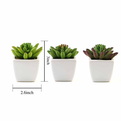Set of 3 4" tall Faux Cute Crassula Succulent Plants with Off White Ceramic Pots - Assorted Colors ARTI_SUC_PT010_ASST