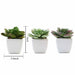 Set of 3 4" tall Realistic Cute Echeveria Succulent Plants with Off White Ceramic Pots - Assorted Colors ARTI_SUC_PT007_ASST