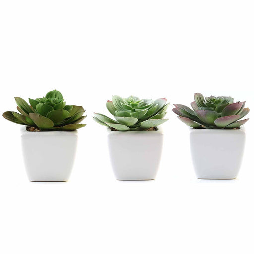 Set of 3 4" tall Realistic Cute Echeveria Succulent Plants with Off White Ceramic Pots - Assorted Colors ARTI_SUC_PT007_ASST
