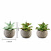 Set of 3 5" tall Faux Aloe Succulent Plants with Round Pots - Assorted Colors ARTI_SUC_PT004_ASST