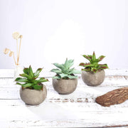 Set of 3 5" tall Faux Aloe Succulent Plants with Round Pots - Assorted Colors ARTI_SUC_PT004_ASST