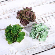 Set of 3 5" tall Faux Cute Echeveria Succulent Plants with Off White Ceramic Pots - Assorted Colors ARTI_SUC_PT014_ASST
